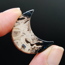 Load image into Gallery viewer, Fossilized Palm Root Crescent Moon Cabochon
