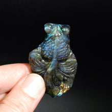 Load image into Gallery viewer, Labradorite Goldfish
