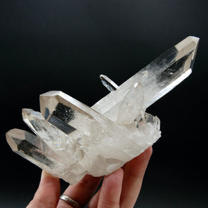 STUNNING Starburst Lemurian Silver Quartz Crystal Starbrary Cluster, Isis Face Channeler Record Keepers Optical Corinto Quartz, Brazil