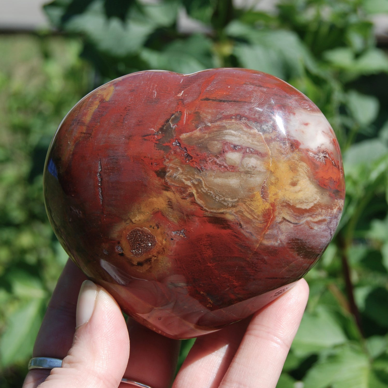 Petrified Wood Crystal Heart 