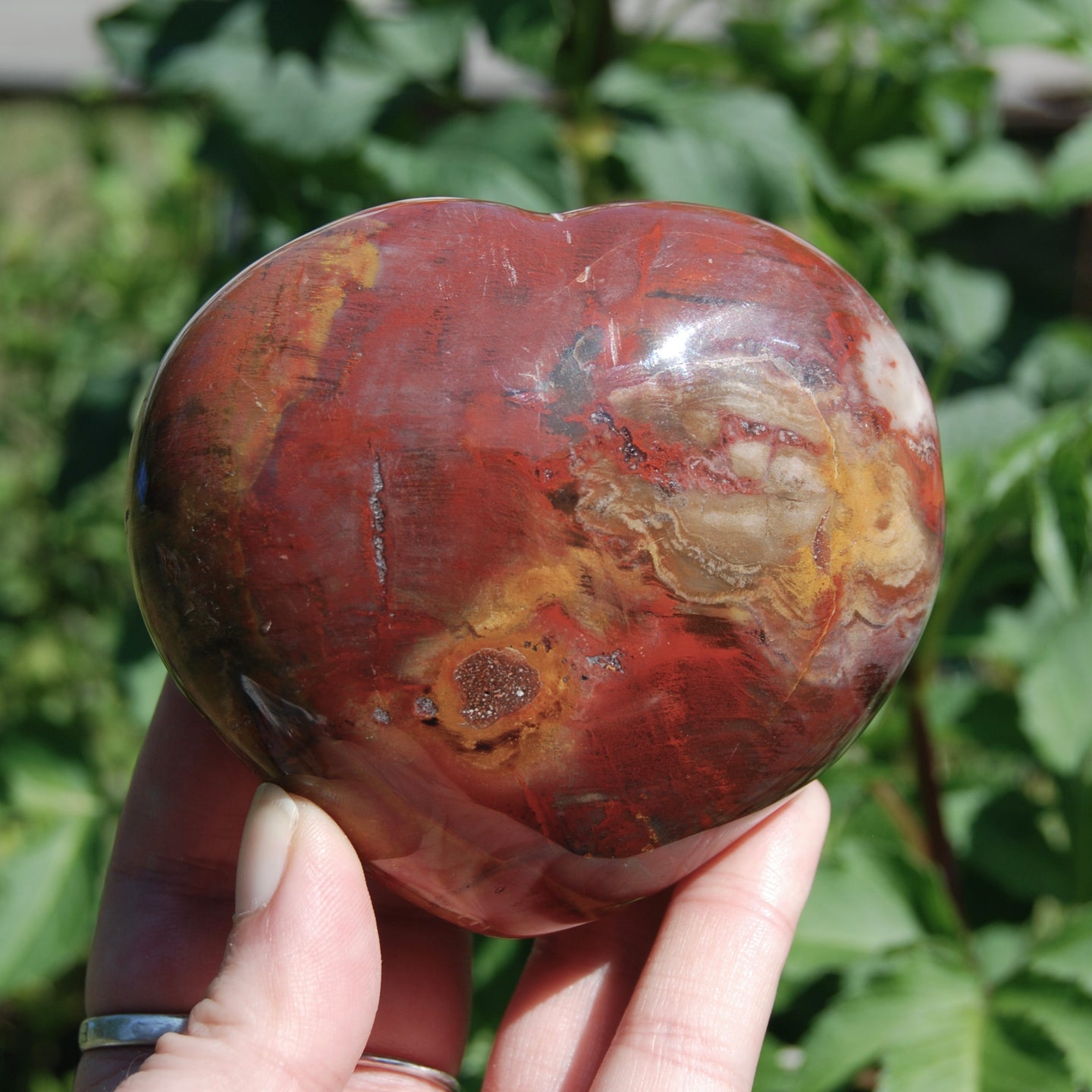 Petrified Wood Crystal Heart 