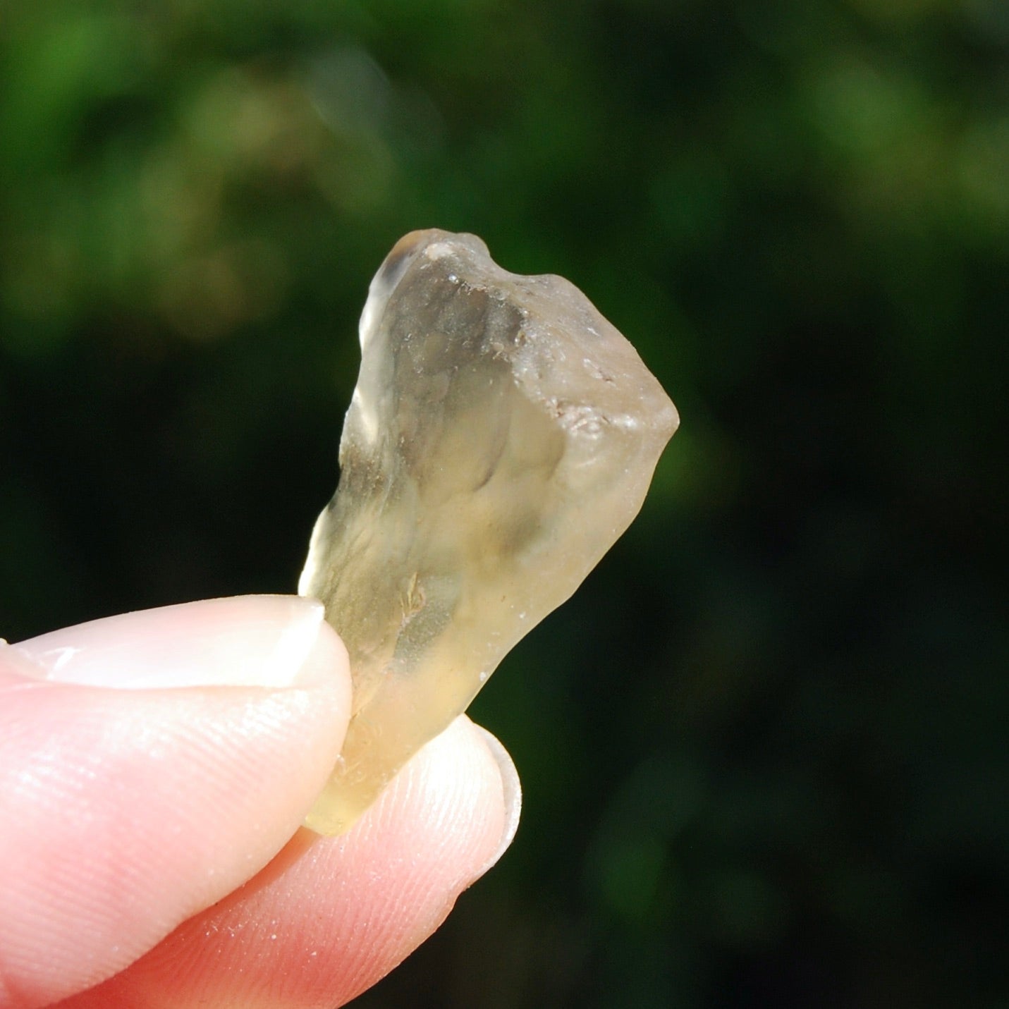 Genuine Libyan Desert Glass Specimen, Libyan Gold Tektite
