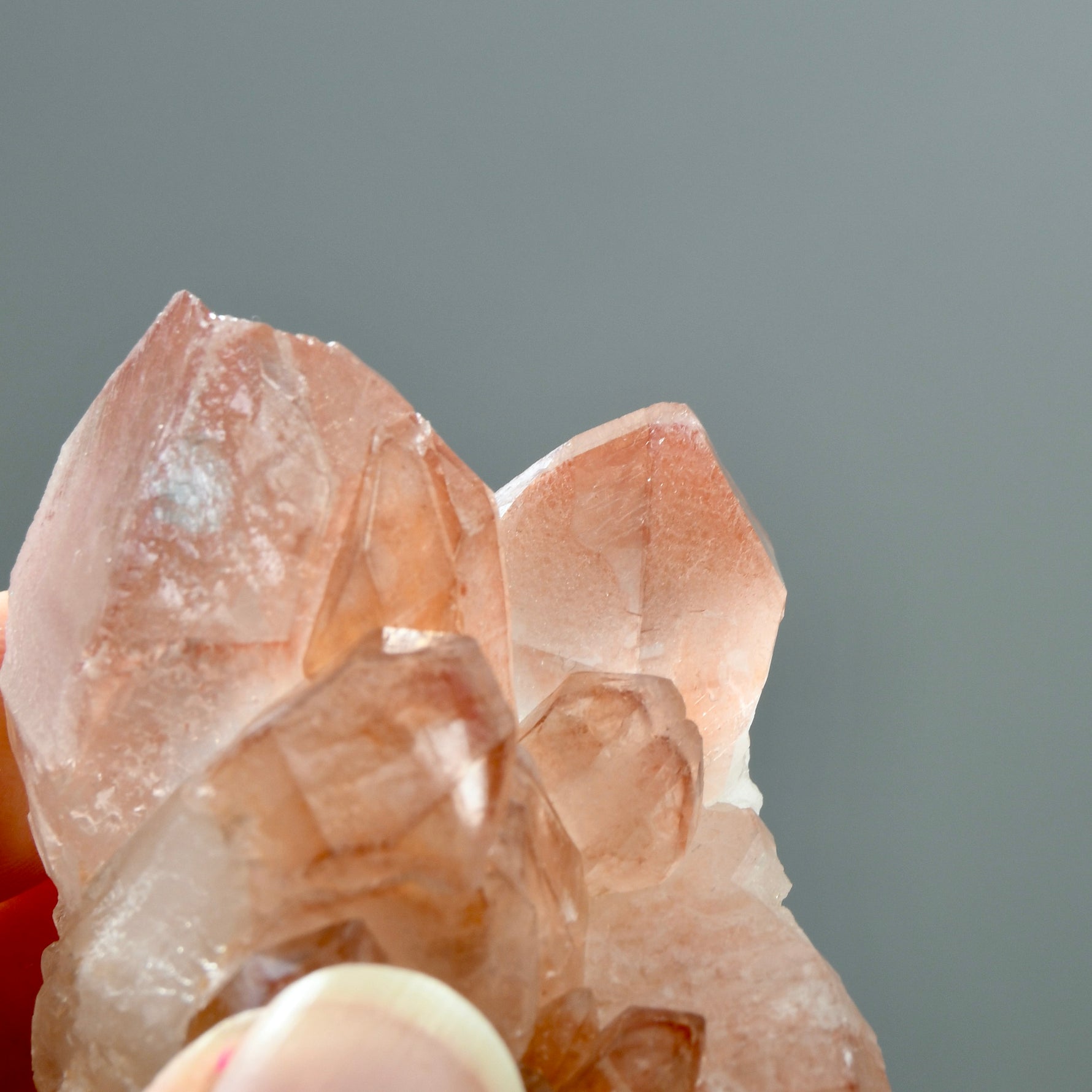 ET Strawberry Pink Scarlet Temple Lemurian Quartz Crystal Cluster, Serra do Cabral, Brazil