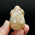 2in Laguna Lace Agate Crystal Skull, Realistic Carved Skull