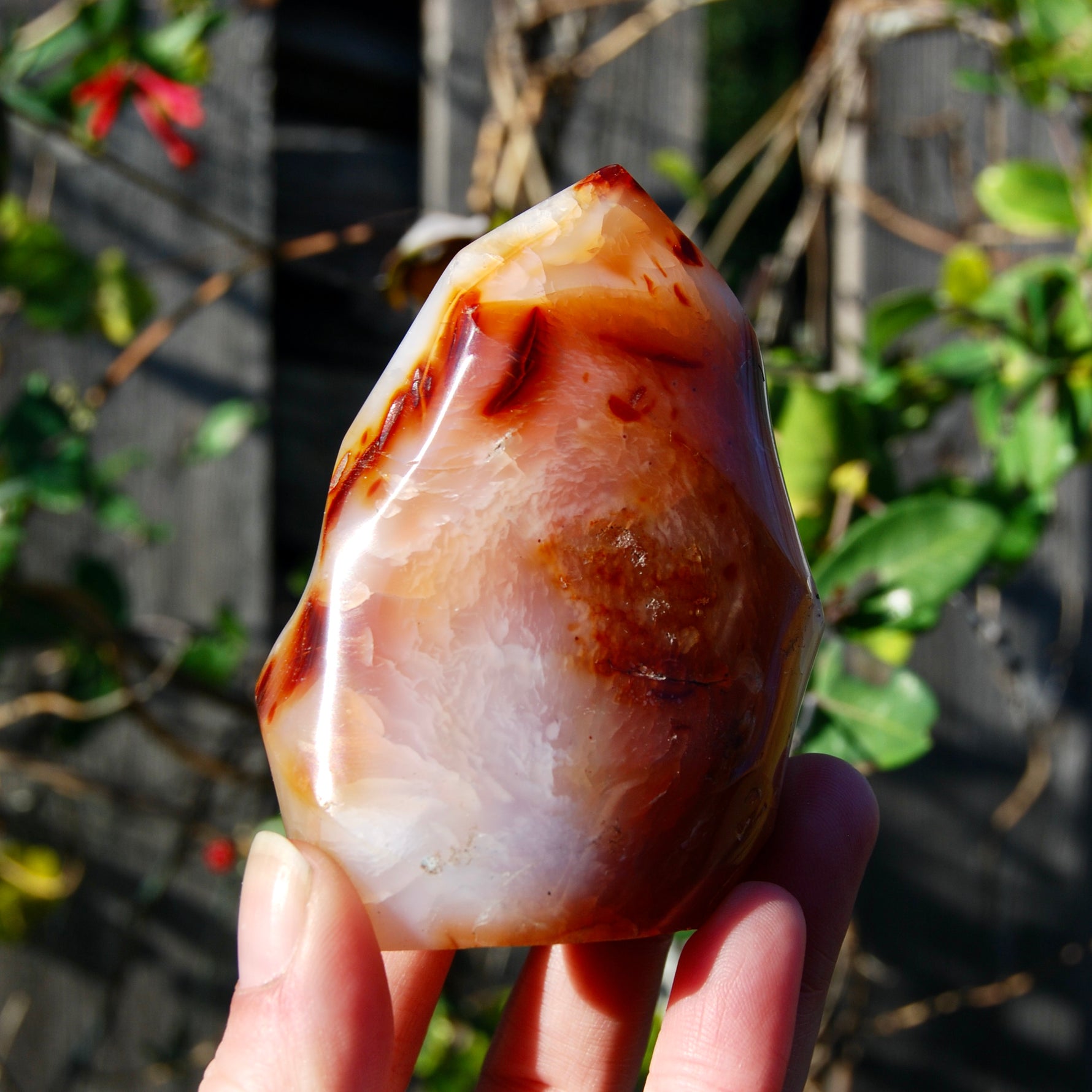Carnelian Crystal Flame, Carnelian Agate Freeform Tower, Madagascar