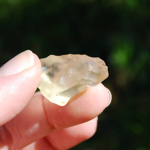 Genuine Libyan Desert Glass Specimen, Libyan Gold Tektite