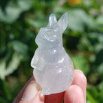 Yttrium Fluorite Carved Crystal Rabbit