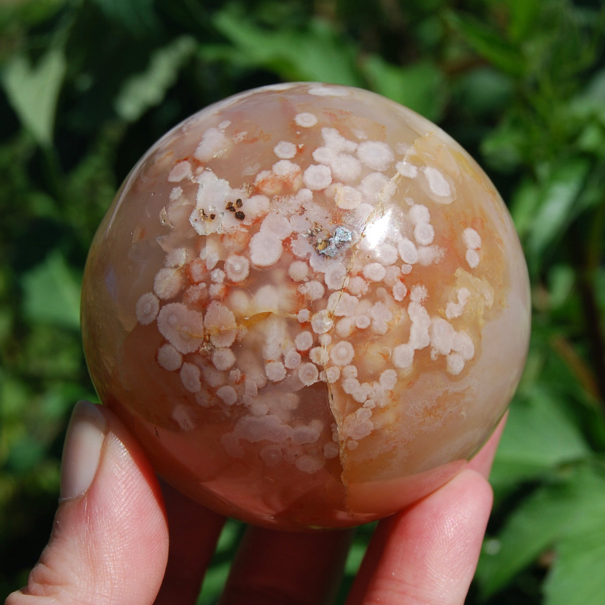 Sakura Flower Agate Crystal Sphere