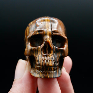 Tiger's Iron Carved Crystal Skull