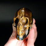 Blue Tiger's Eye Carved Crystal Skull