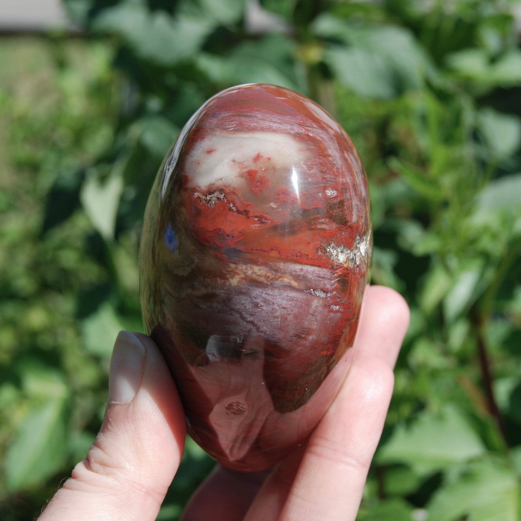 Petrified Wood Crystal Heart 