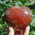 Petrified Wood Crystal Heart Shaped Palm Stone