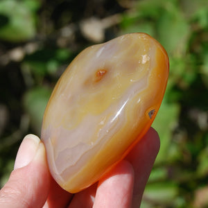 Carnelian Agate Crystal Heart Palm Stone