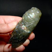 Load image into Gallery viewer, Large Labradorite Carved Crystal Cicadav
