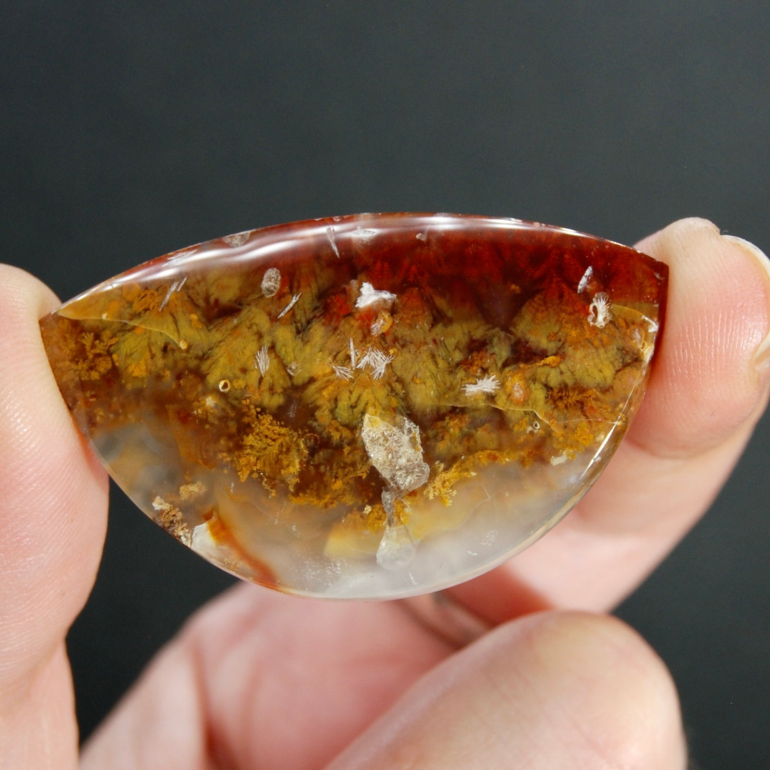 Sagenite Plume Agate Cabochon