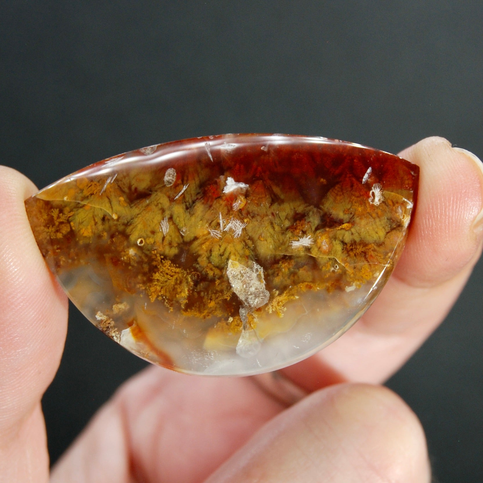 Sagenite Plume Agate Cabochon