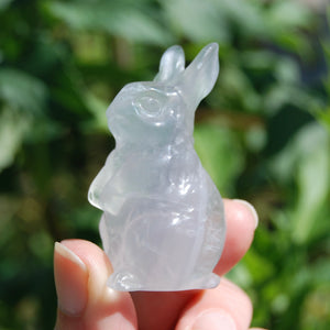 Yttrium Fluorite Carved Crystal Rabbit
