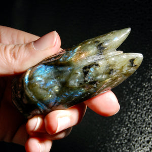 Large Labradorite Carved Crystal Cicada