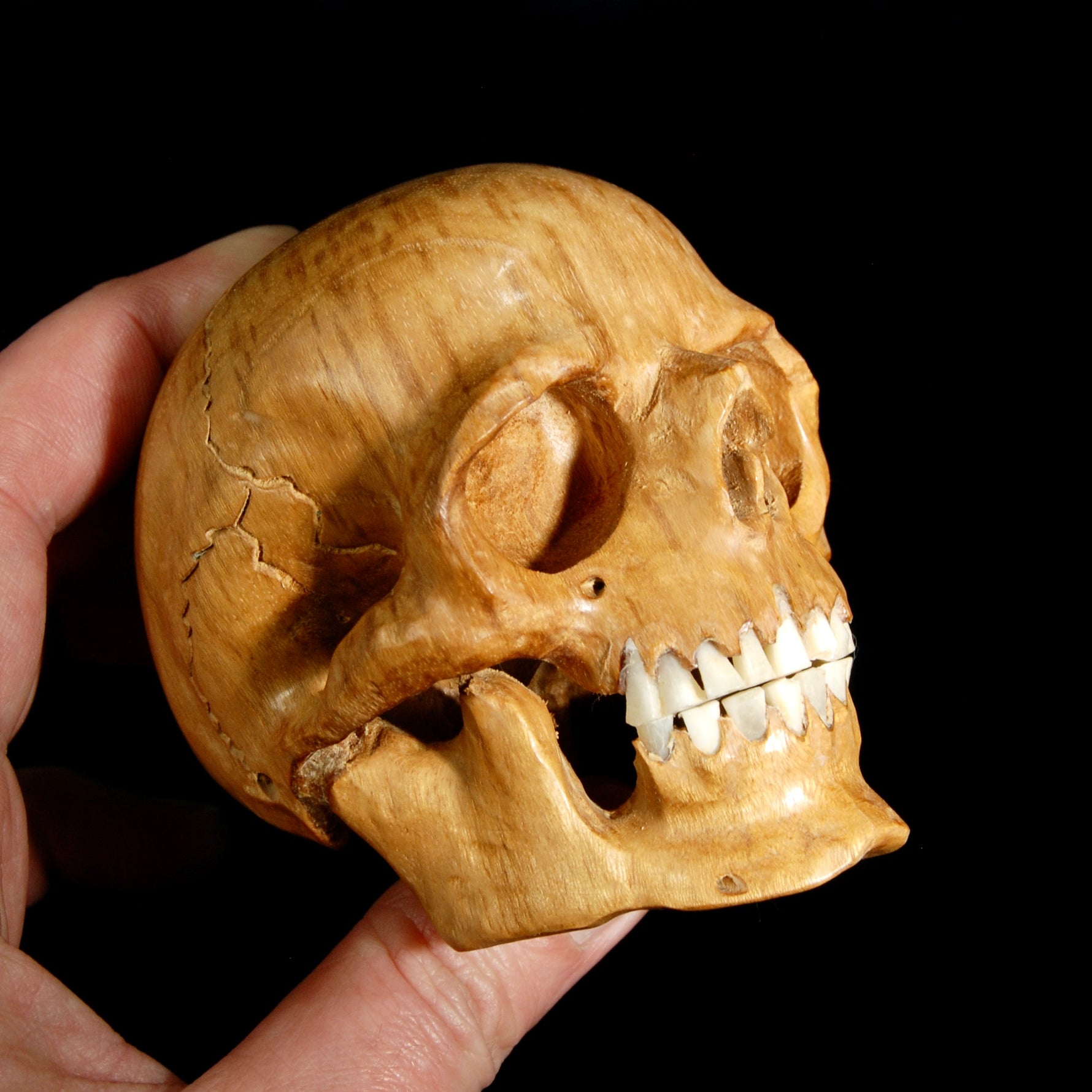 Master Carved Wood Skull with Ox Bone Teeth Realistic