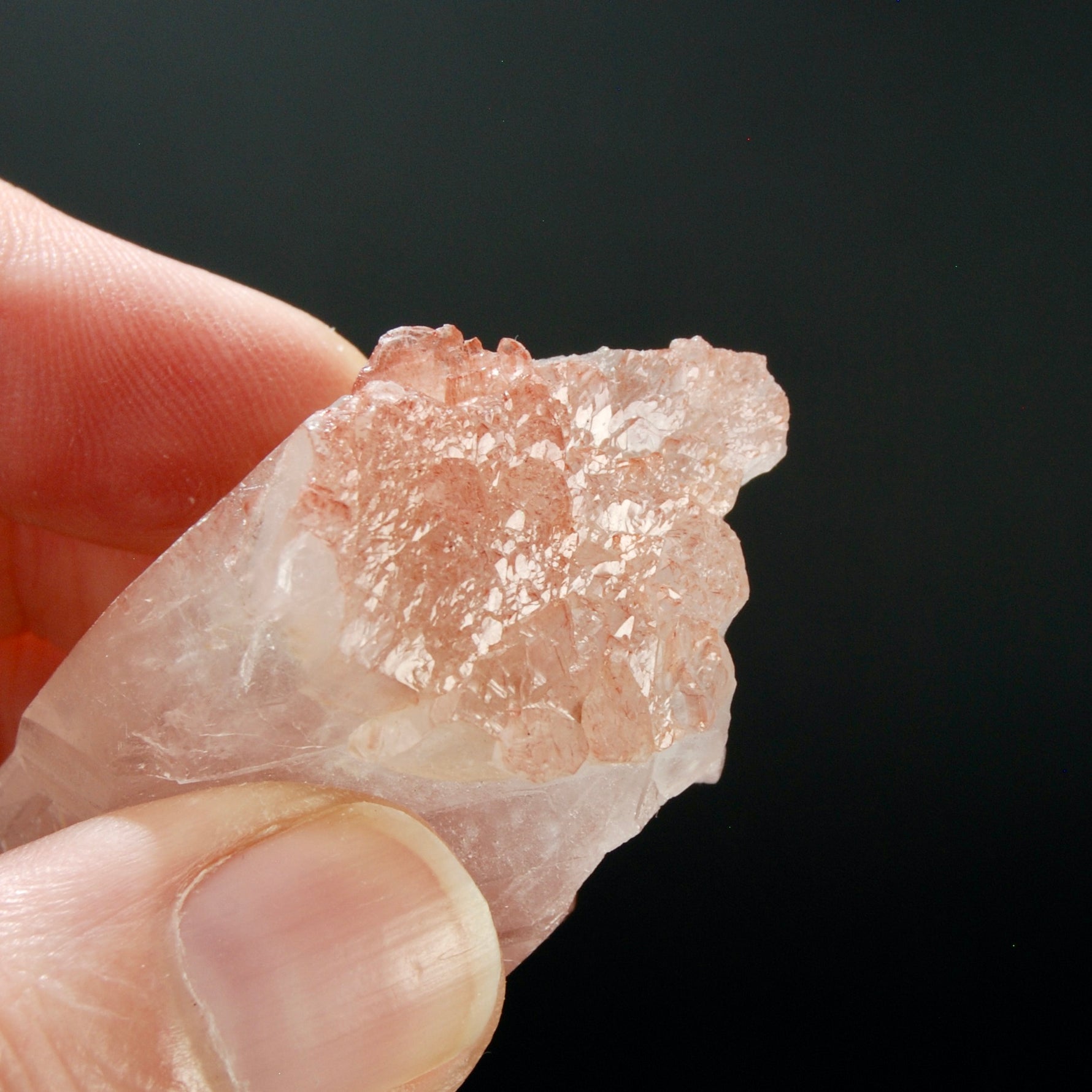 Strawberry Pink Lemurian Seed Quartz Crystal Master Starbrary, Serra do Cabral, Brazil