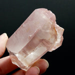 Rare Unique ET Dolphin Pink Lithium Lemurian Quartz Crystal Starbrary Cathedral, Brazil