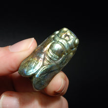 Load image into Gallery viewer, Labradorite Carved Crystal Cicada
