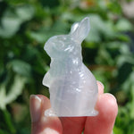 Yttrium Fluorite Carved Crystal Rabbit