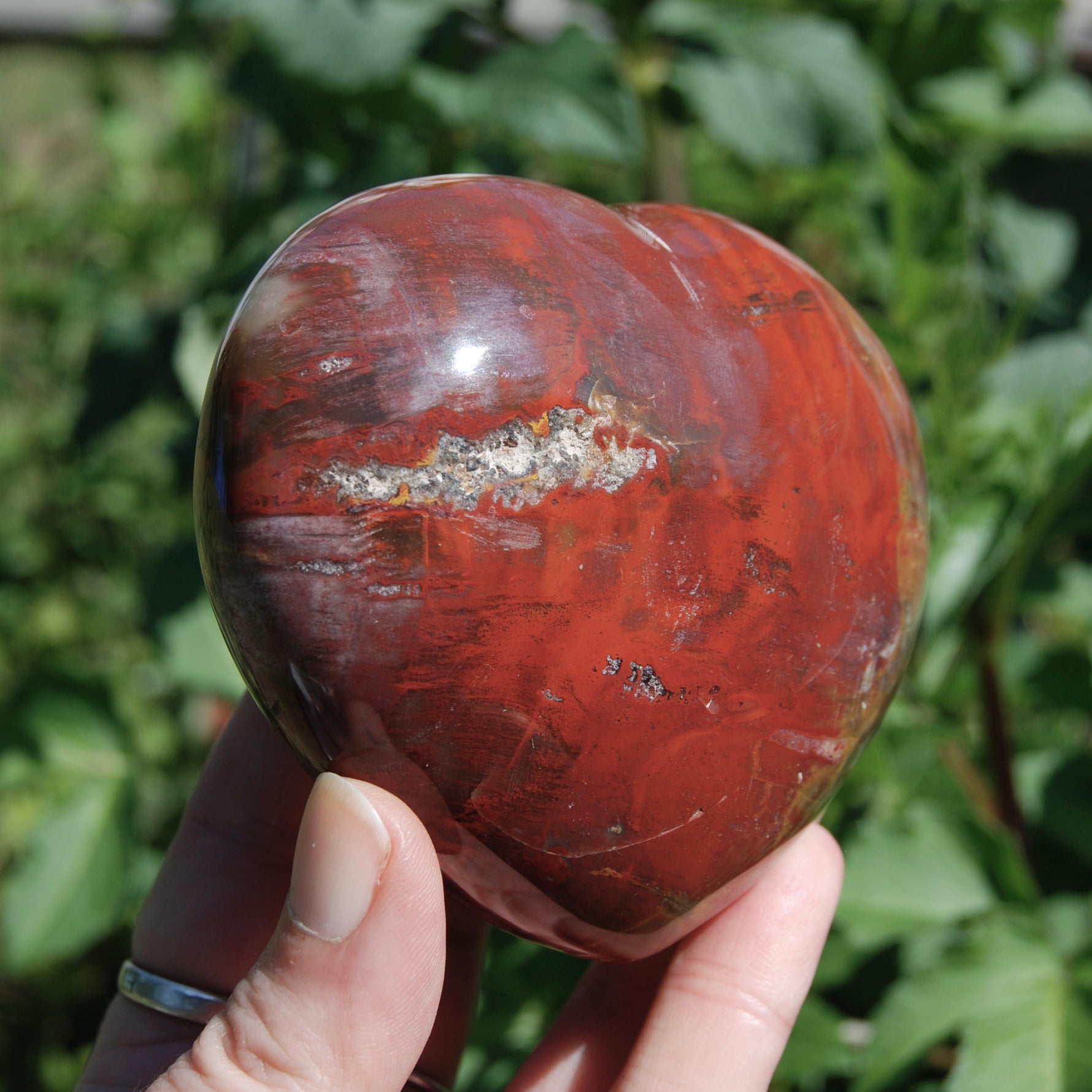 Petrified Wood Crystal Heart 