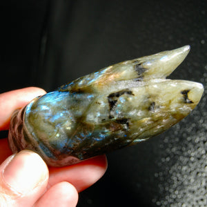 Large Labradorite Carved Crystal Cicada