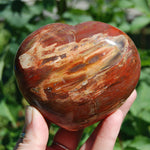Petrified Wood Crystal Heart Shaped Palm Stone