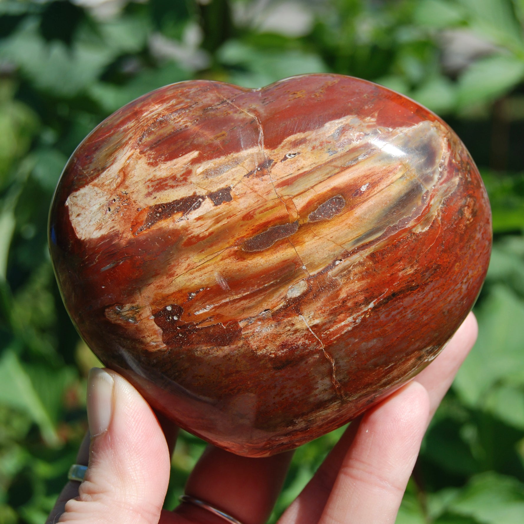 Petrified Wood Crystal Heart Shaped Palm Stone