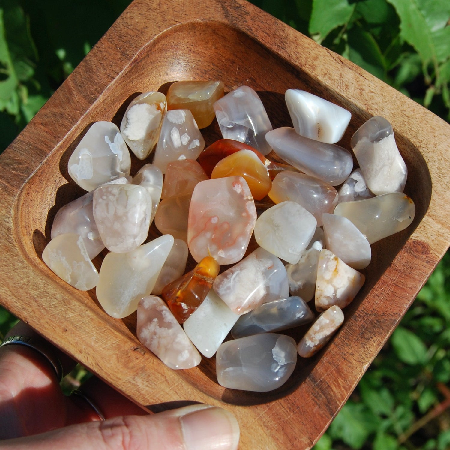 6pcs Sakura Flower Agate Tumbled Stones