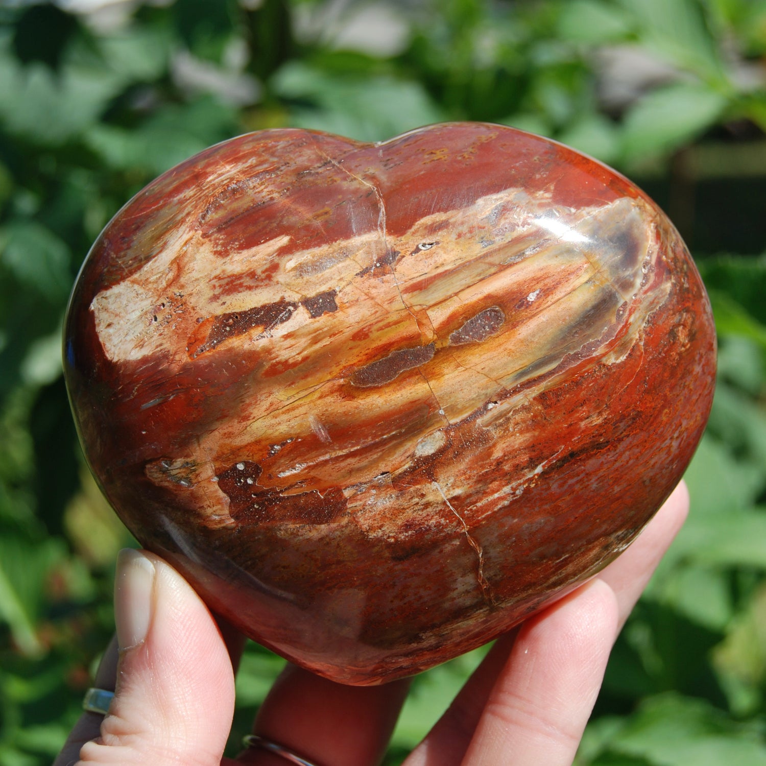 Petrified Wood Crystal Heart Shaped Palm Stone