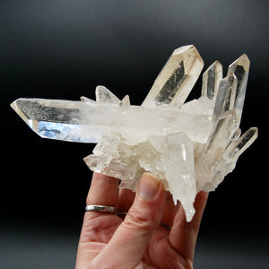 STUNNING Starburst Lemurian Silver Quartz Crystal Starbrary Cluster, Isis Face Channeler Record Keepers Optical Corinto Quartz, Brazil