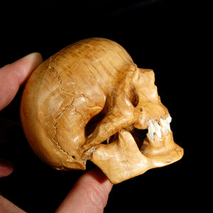 Master Carved Wood Skull with Ox Bone Teeth Realistic