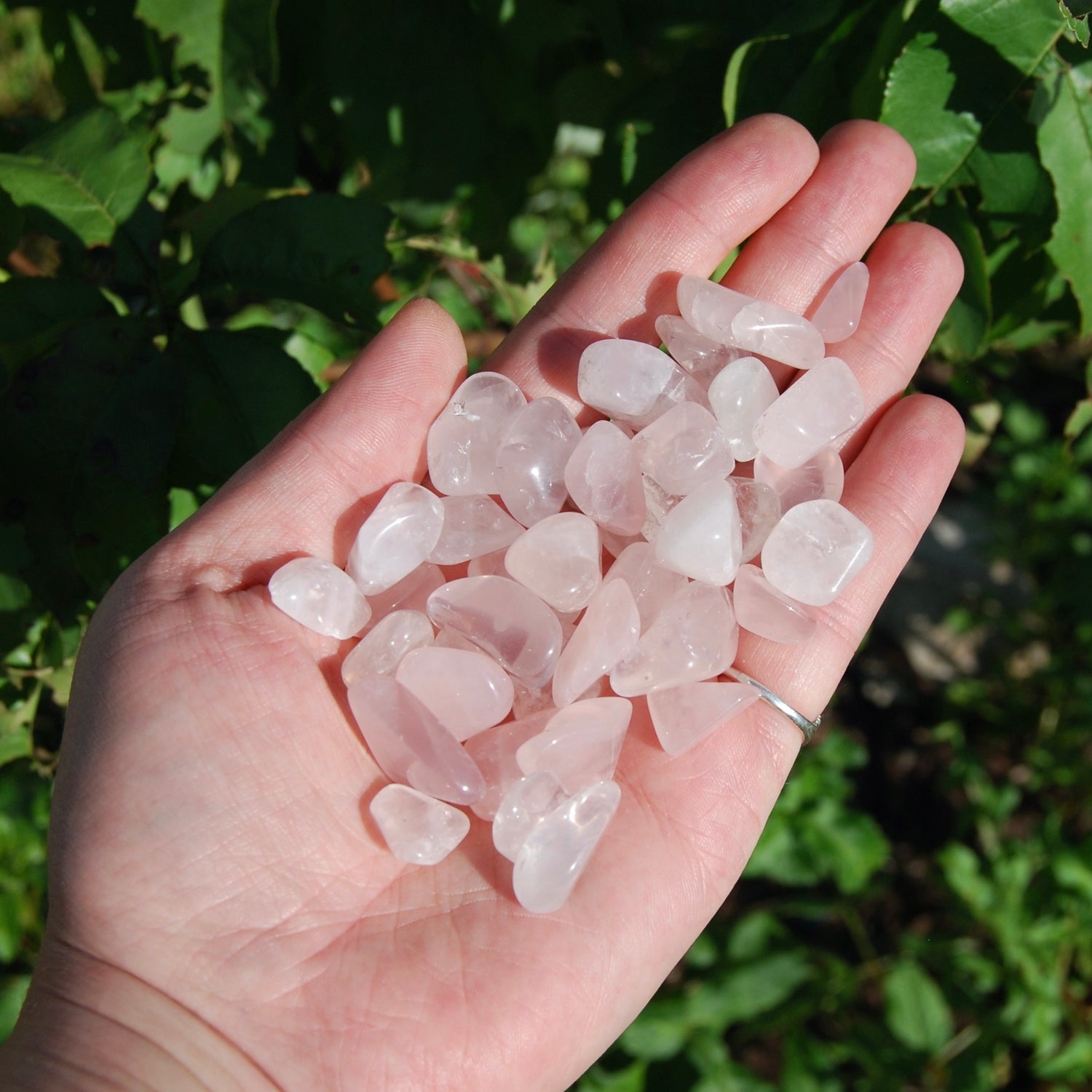 Rose Quartz Crystal Tumbled Stones