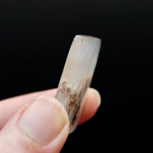Load image into Gallery viewer, Graveyard Plume Agate Cabochon
