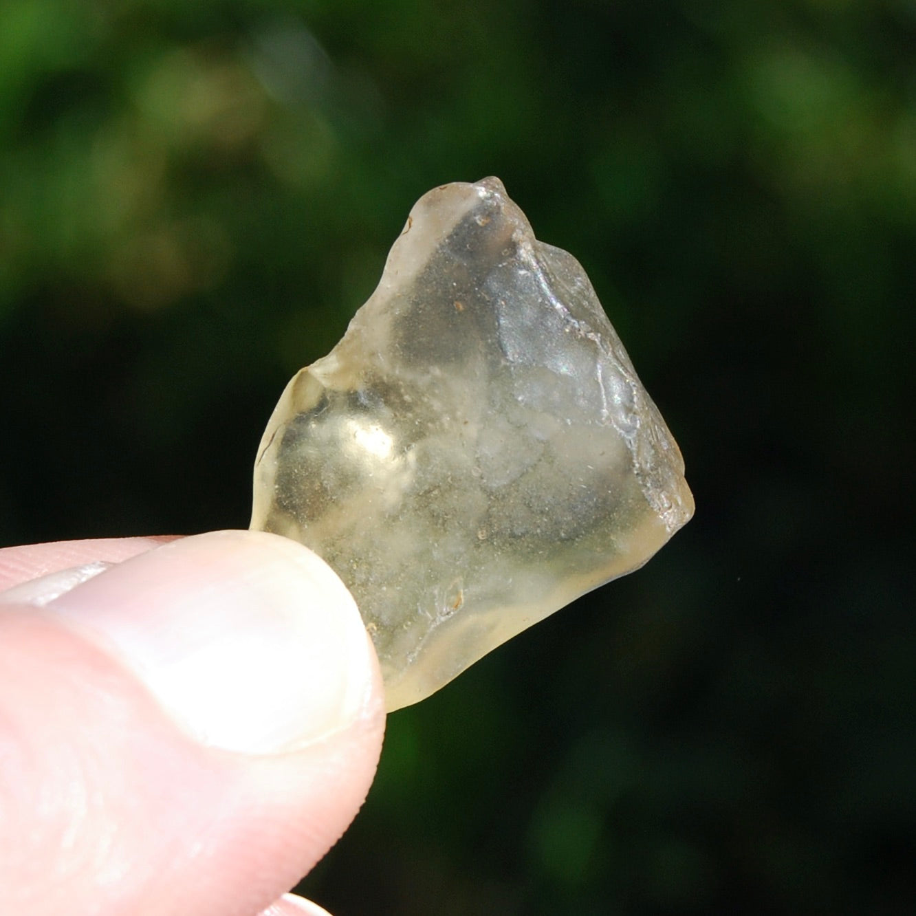 Genuine Libyan Desert Glass Specimen, Libyan Gold Tektite