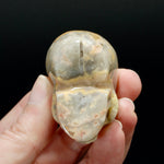 2in Laguna Lace Agate Crystal Skull, Realistic Carved Skull