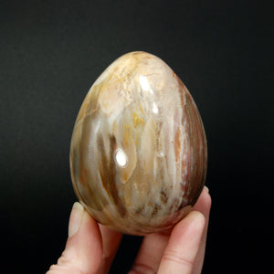 Colorful Petrified Wood Egg, Madagascar