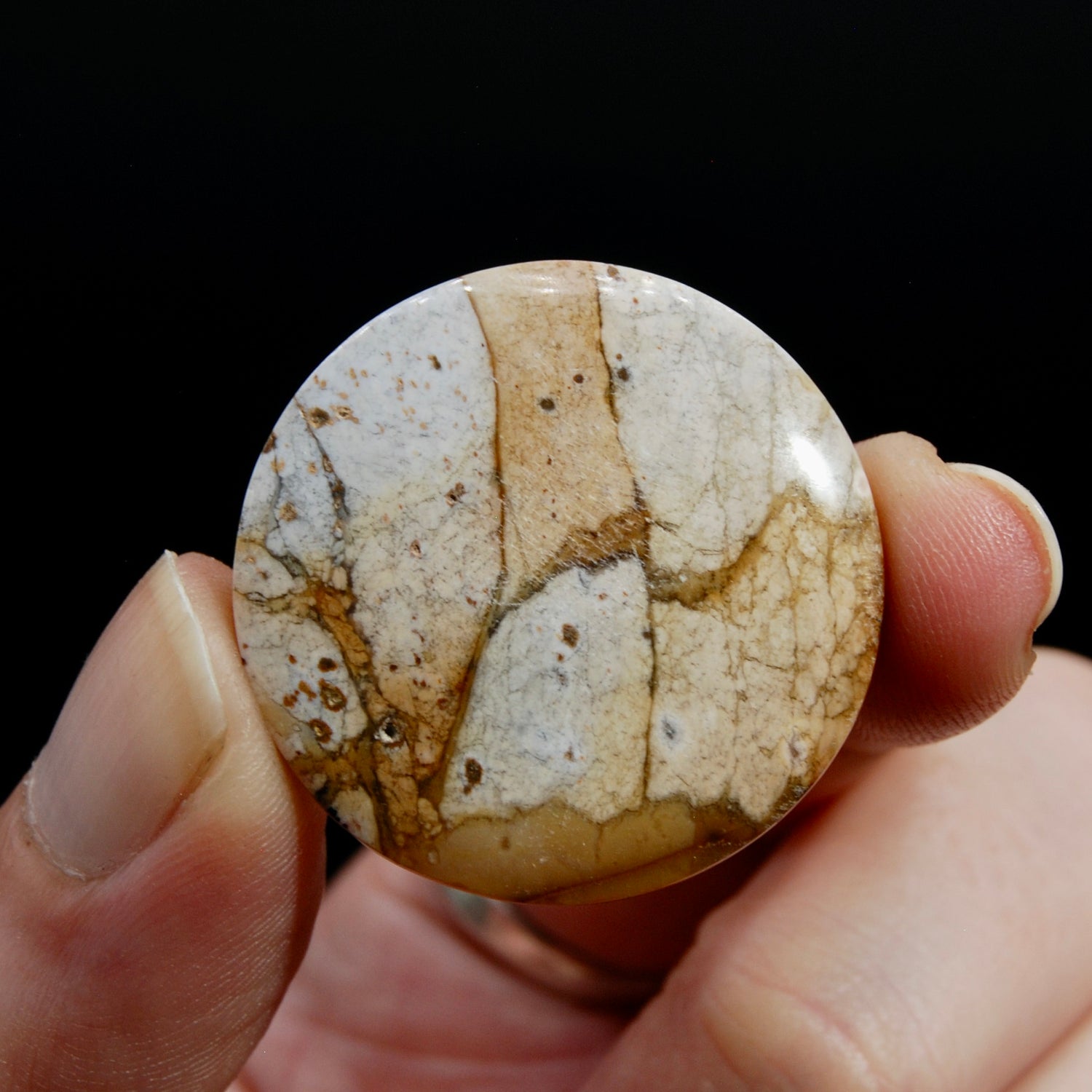 Scenic Picture Jasper Cabochon, Round Jasper Cab