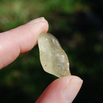 Genuine Libyan Desert Glass Specimen, Libyan Gold Tektite