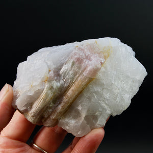 Raw Tricolor Tourmaline Lepidolite Crystal on Quartz Matrix, Brazil