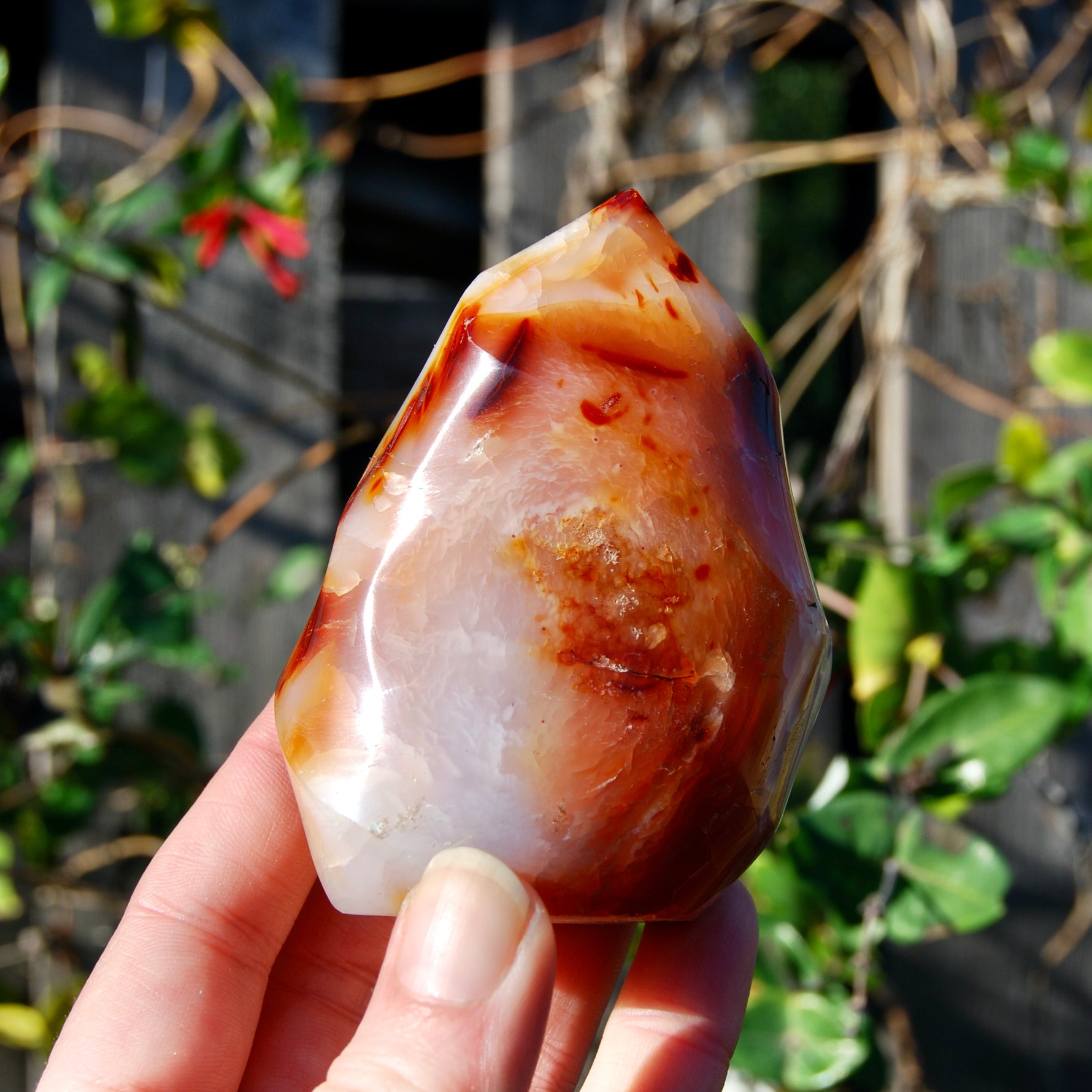 Carnelian Crystal Flame, Carnelian Agate Freeform Tower, Madagascar
