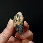 Maligano Jasper Heart, Healing Crystals, Indonesia