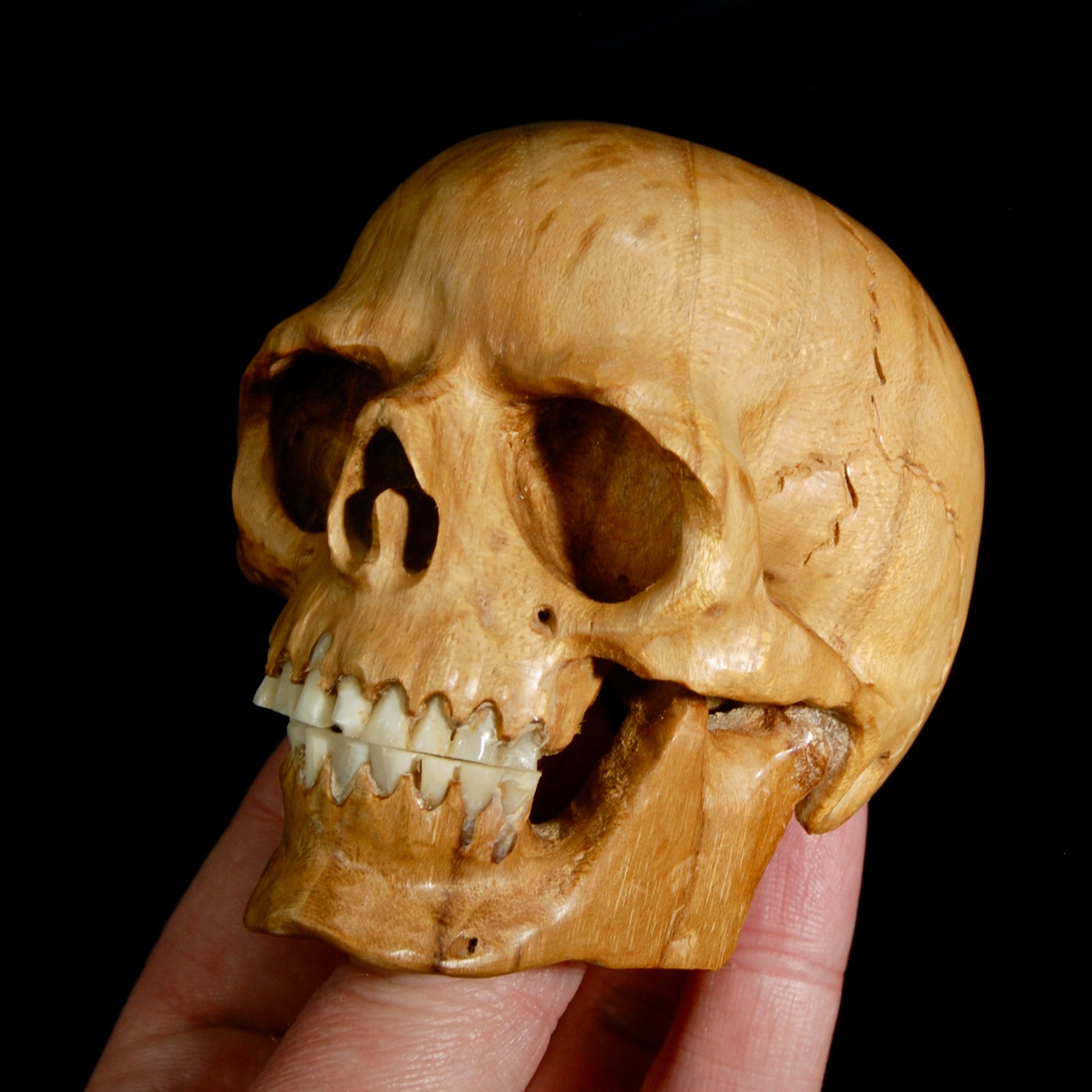 Master Carved Wood Skull with Ox Bone Teeth Realistic