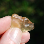 Genuine Libyan Desert Glass Specimen, Libyan Gold Tektite