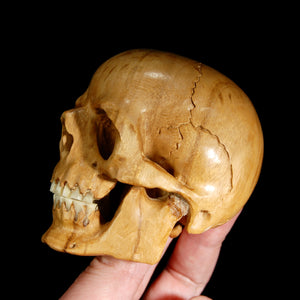 Master Carved Wood Skull with Ox Bone Teeth Realistic