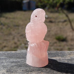 Rose Quartz Crystal Parrot 