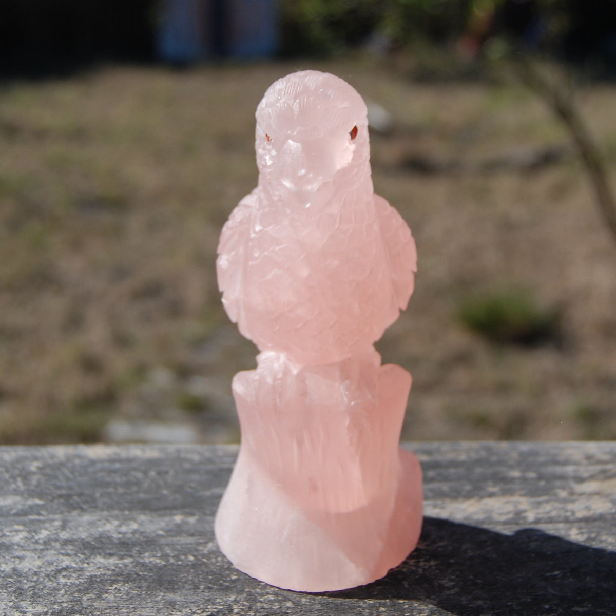 Rose Quartz Crystal Parrot 